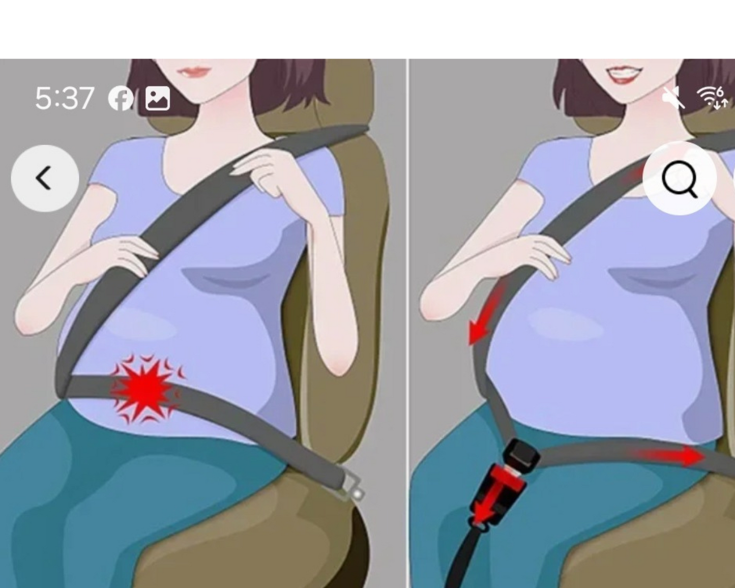 MOMMY and ME Accessory Seatbelt extension for the future Mom